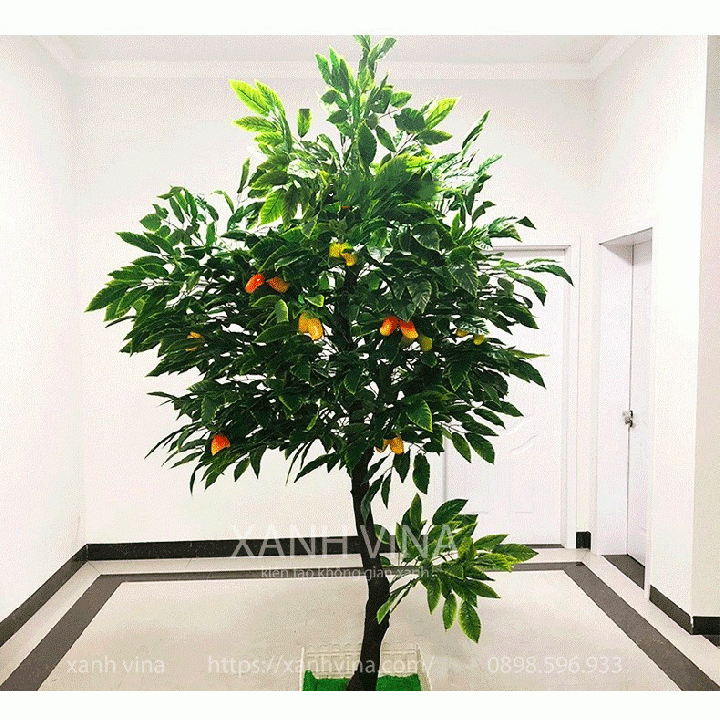 Cây xoài giả _Thiết kế theo yêu cầu 